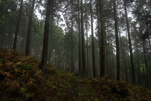 Mt. Furo（不老山） by ranggapb