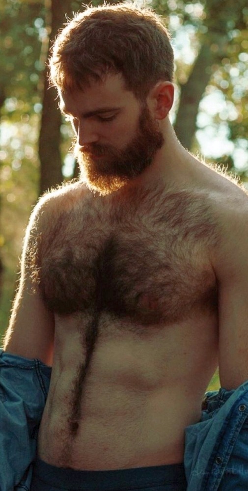 Celebration of the Male Beauty