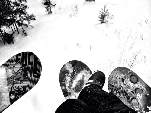 Best birthday with the best people… BIRTHDAY SHRED!