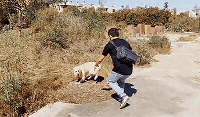 toquotemark:  just a boy and his doggo [x]