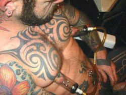 waveblue52:  Tatted pumper………