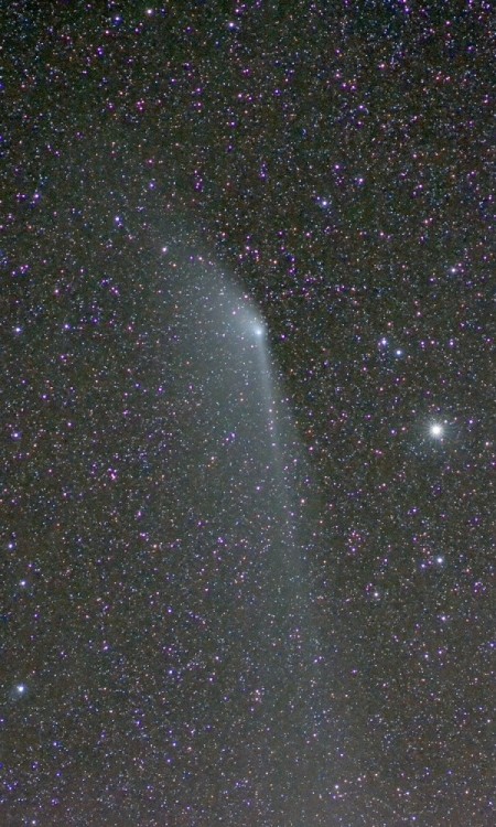 atomstargazer: APOD | 2013 May 18 | Comet PanSTARRS Anti-Tail Image Credit &amp; Copyright: Marc