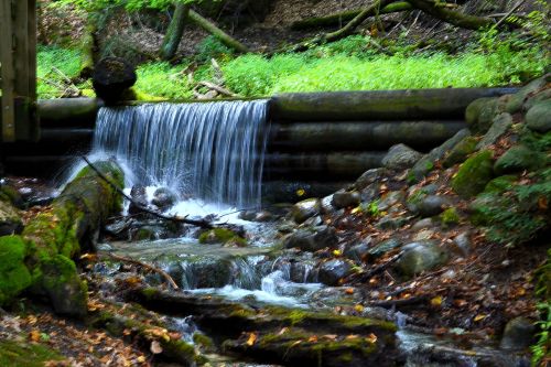 Iargo Springs, Michigan is absolutely beautiful . I love these shots taken with my D3100