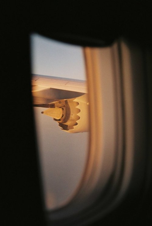 stellasofiakummer:India & Sri Lanka on film