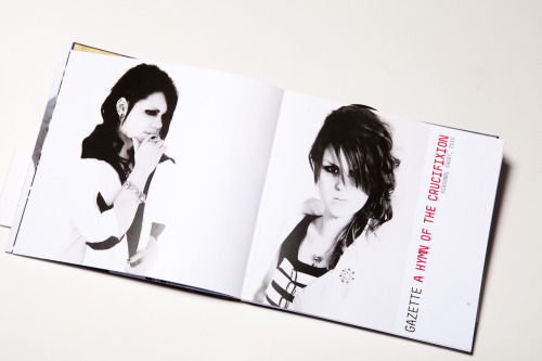 a photo book about Visual Kei Cosplay, 2011