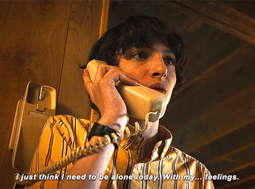 Mike Wheeler In Stranger Things 3