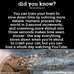 did-you-kno:  You can train your brain to slow down time by noticing more details. Humans process the world in 3-second increments, and cramming more stimuli into those seconds makes time seem slower - the way everything slows down when you’re about