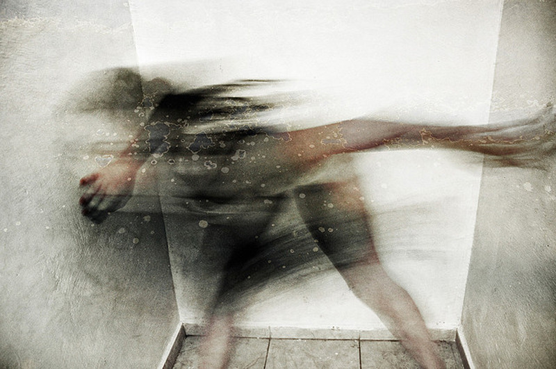 likeafieldmouse:  Yell Saccani