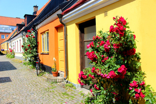 fairytale-europe:   Ystad, Sweden [1 & 2-4] 