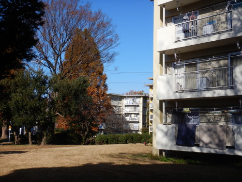 常盤平団地（TOKIWADAIRA　DANCHI）（1960年）松戸市常盤平（TOKIWADAIRA　MATSUDO　CHIBA　JAPAN　）2020年