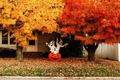 halloween decor