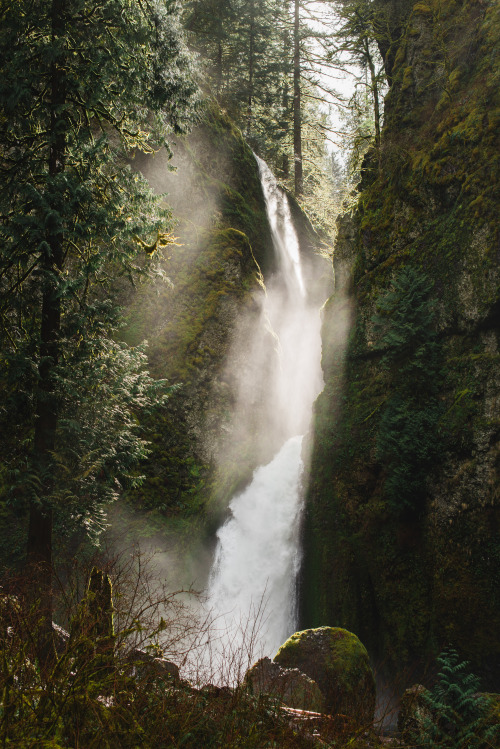 timberphoto: Afternoons in the Columbia River Gorge. Instagram : @k_sto