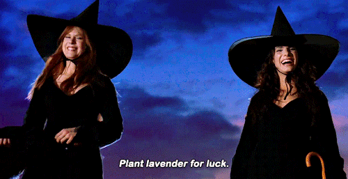 stars-bean:Practical Magic (1998) dir. Griffin Dunne