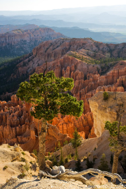 about-usa:  Bryce Canyon National Park -