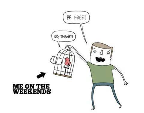 introvertunites:  If you relate to being an introvert, follow me @introvertunites. 
