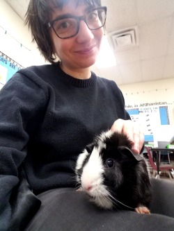 Not the most flattering shots of me, but VERY good shots of Beyonce, a classroom pet 💖💖💖💖