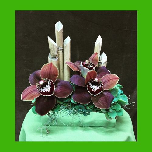 Deep Chocolate Standard Cymbidium Orchid Florets Are Accented With Assorted Smaller Succulents, Natural