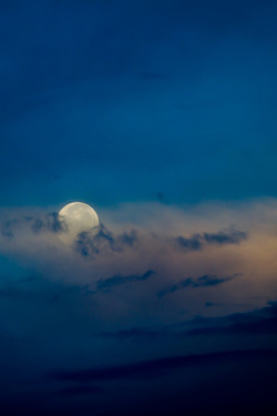 Nichvlas:  The Setting Moon | Kelly Headrick 