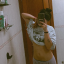 lachicadelcapul
