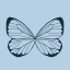butterflieblue