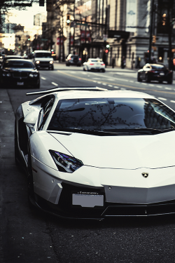 graphicsdontsleep:  Liberty Walk Aventador // GDS // Source