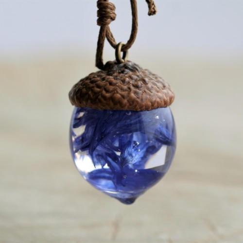 sosuperawesome:  Acorn Pendants  Dabas Rotas on Etsy  See our #Etsy or #Jewelry tags  