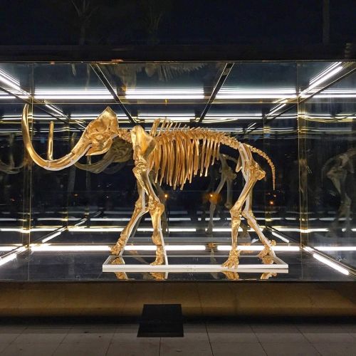 ‘Gone But Not Forgotten’ (2014) Damien Hirst took an actual woolly mammoth skeleton and 