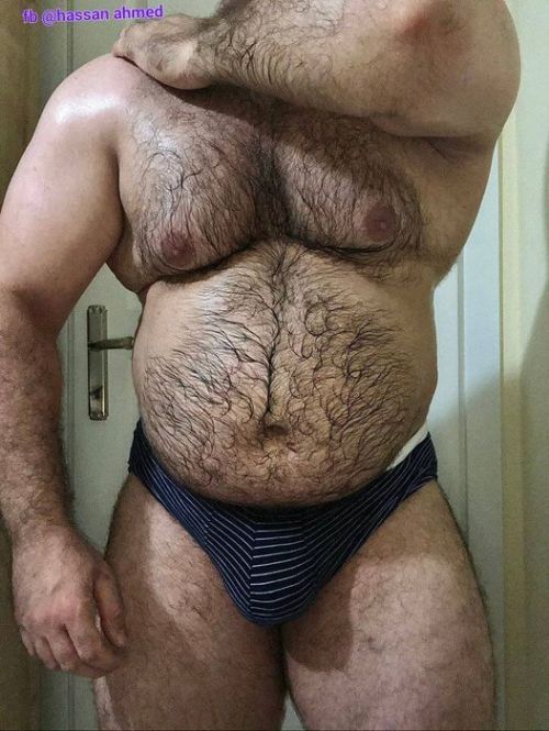 Bear Darts