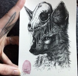 fvckingdemise:  Hannah Snowdon’s drawings are so pretty 