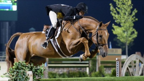 erinmariemcg: Last jump of the derby. Nevermind that it’s 4'9" and those are 6’ standards.  Pho