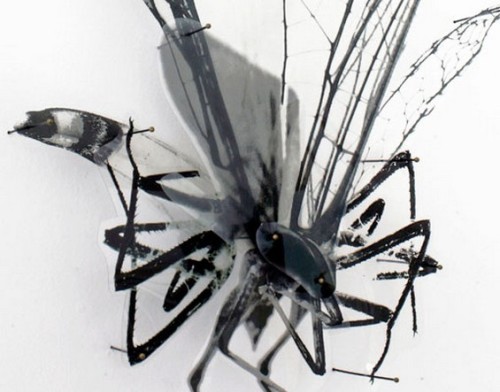 unicorn-meat-is-too-mainstream:  Insects Printed On Transparencies Seem To Fly Right Off The Wall 