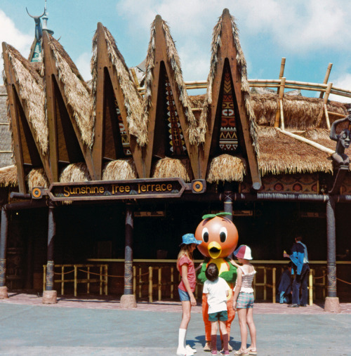 adventurelandia:Vintage Pana-Vue Adventureland souvenir slides from Disney World