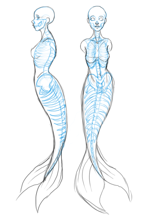 How To Draw Mermaids For MerMay Coming Up Next Month?