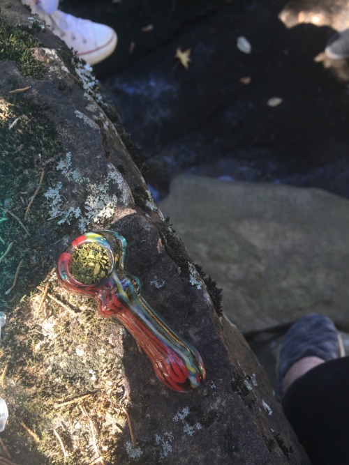 tokes-and-smokes:  Went hiking with some friends and smoked a bowl by a little hidden glen.