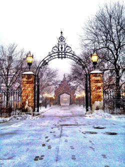uchicagoadmissions:  “This is the land of Narnia,’ said the Faun, ‘where we are now; all that lies between the lamp-post and the great castle of Cair Paravel  on the eastern sea.”    - C.S. Lewis, The Chronicles of Narnia Anyone else see a striking