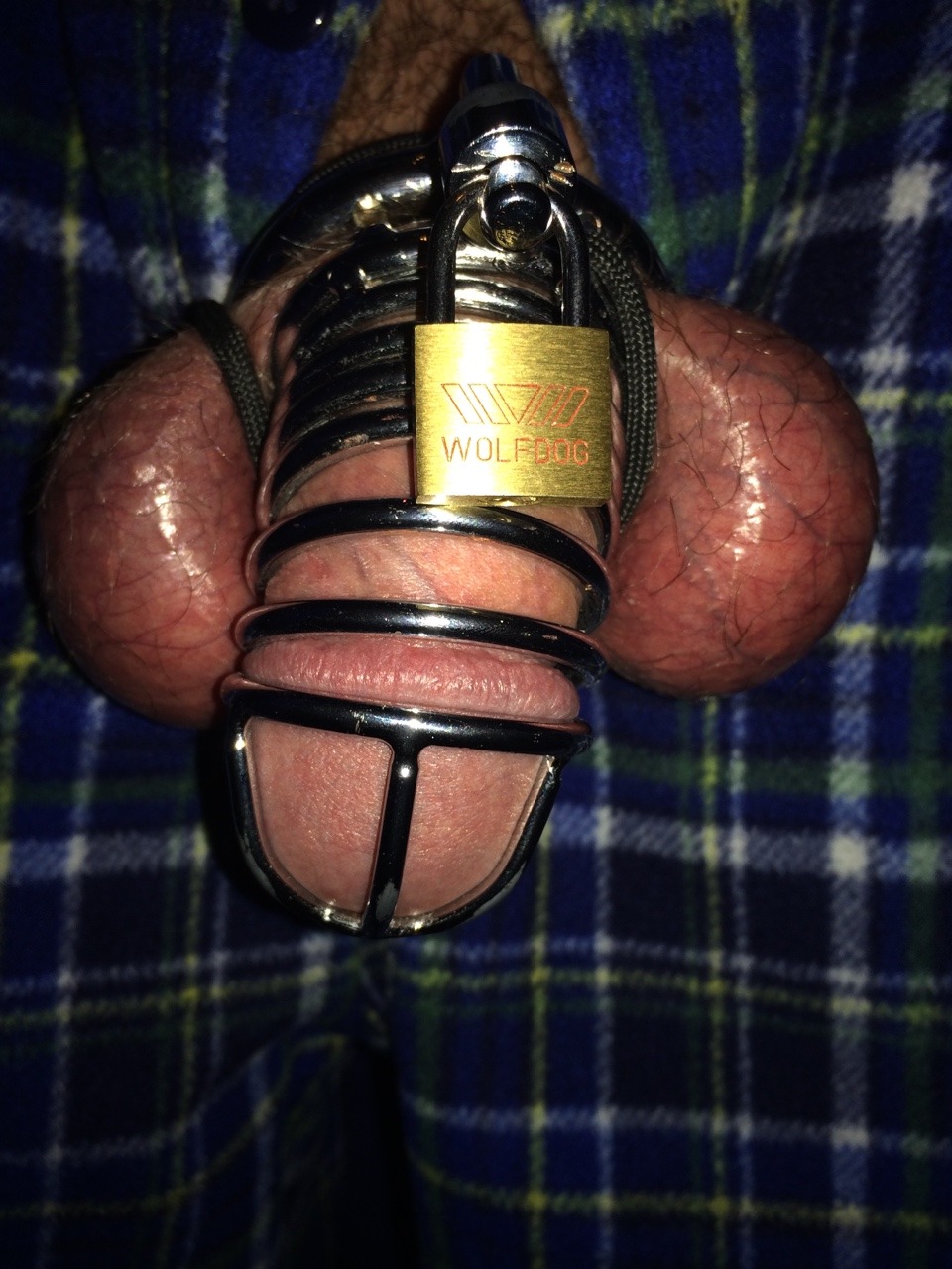 klon13:I wonder how long my cock and balls can take it…tied up and in a cock cage.