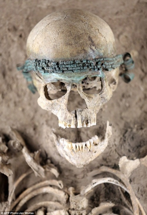 eleutheria-aletheia:Female skull with bronze headband found in Germany, 1550 B.C.