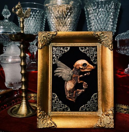 Mummified Flying Fetal Pig mounted on Antique Gold Frame w/ Gold Embellishment. 7”x9” Al