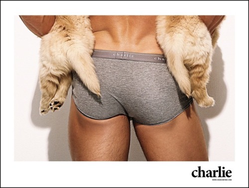 XXX bambam62:Blake Bridges for Charlie by Matthew photo