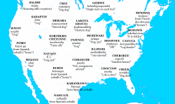 audible-smiles: mapsontheweb: Map of Native American etymologies for “horse”. There were no horses in the Americas before the colonists arrived. Native Americans quickly developed new words for this strange animal, often associating them with dogs,