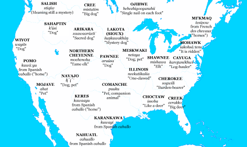 boychic: mapsontheweb: Map of Native American etymologies for “horse”. There were no hor