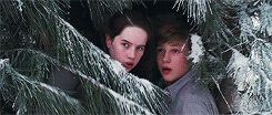 queengrimhildes-deactivated2014:The Chronicles of Narnia: The Lion, The Witch, and The Wadrobe.