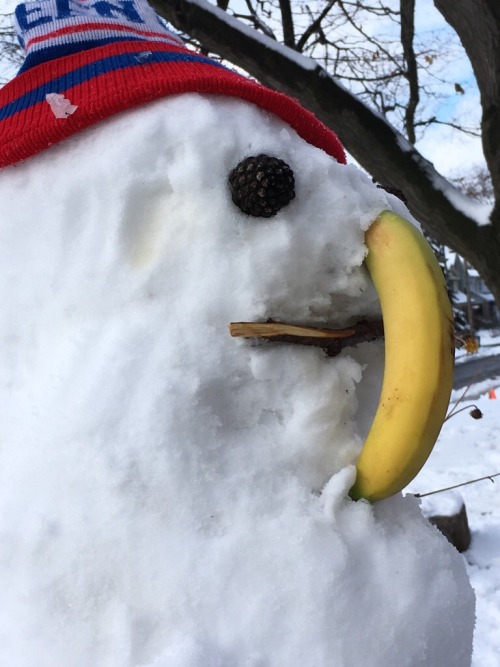 elasticitymudflap:please look at this fucking snowman my little brother and his friends made