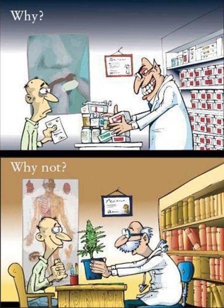 alchimiaweb:  Cannabis, the best natural medicine in the world !! :) http://www.alchimiaweb.com/blogen/medical-marijuana/