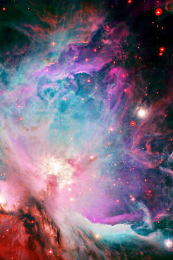 arijuana:  weareallstarstuff:  Orion Nebula