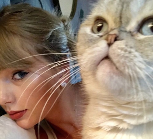 taylorthebaelor:Olivia’s ability to stare into the distance has only gotten stronger as time has pas