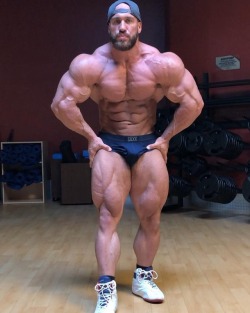   Antoine Vaillant  