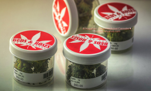 westcoaststoner420:  stoned-420:  XJ-13 and Super Jack 