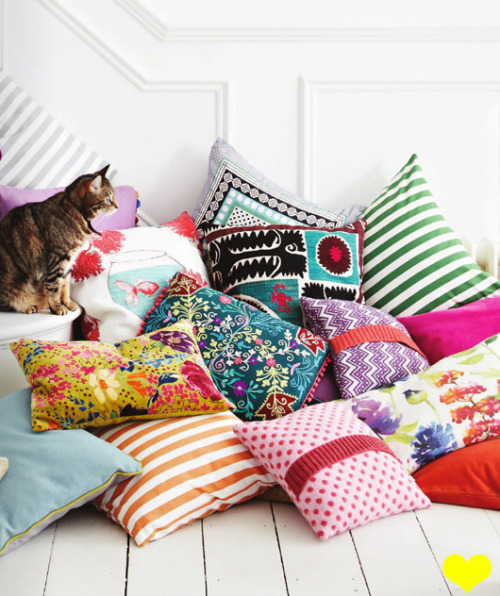 myidealhome:  white wooden floor + pillows + cat   