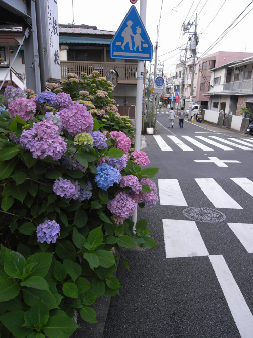 japanesecream: japan-overload: by kimnovax ♪  